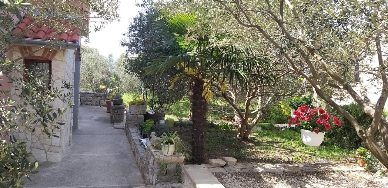 Apartman Rabatin Sveti Filip i Jakov Exterior foto